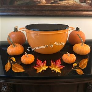 Tupperware Mega Bowl